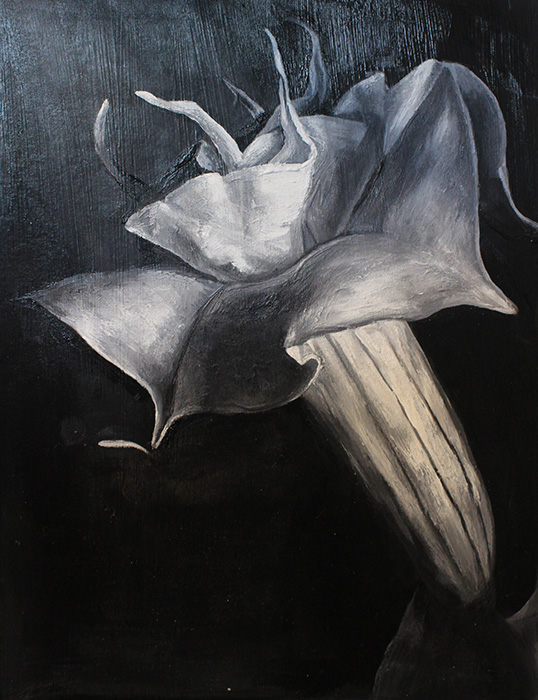 datura value painting