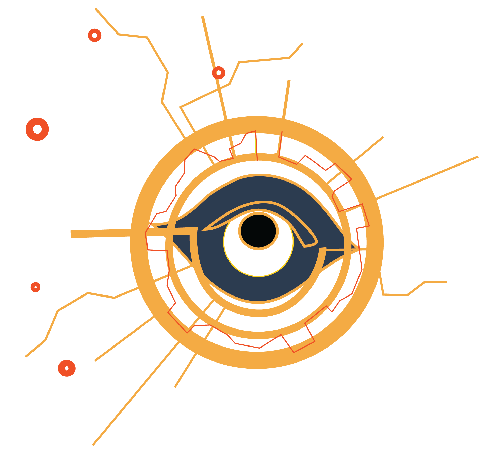 eye